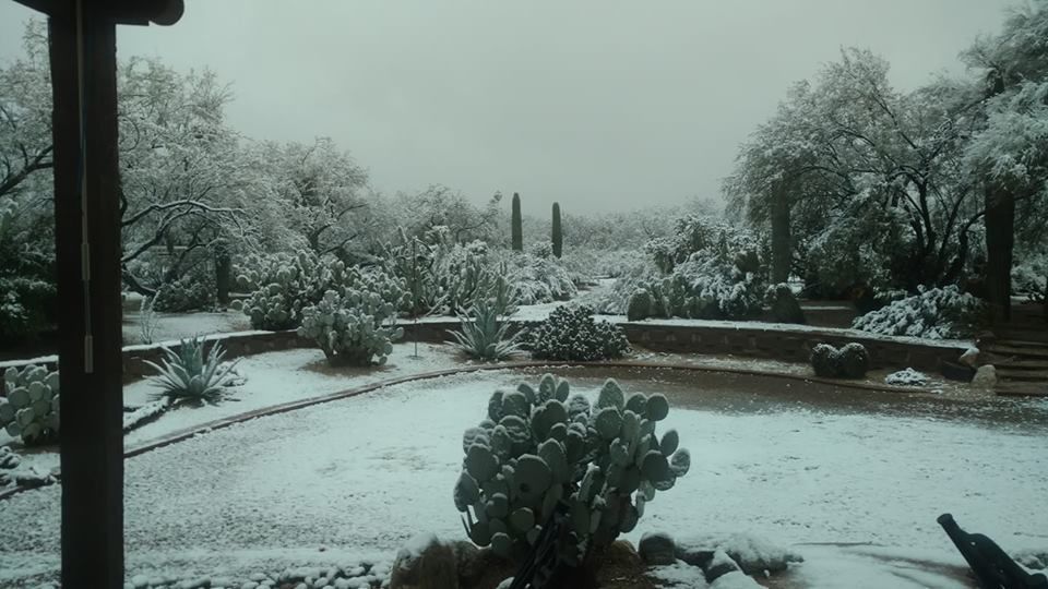 Snow in northeast ÃÛèÖÖ±²¥